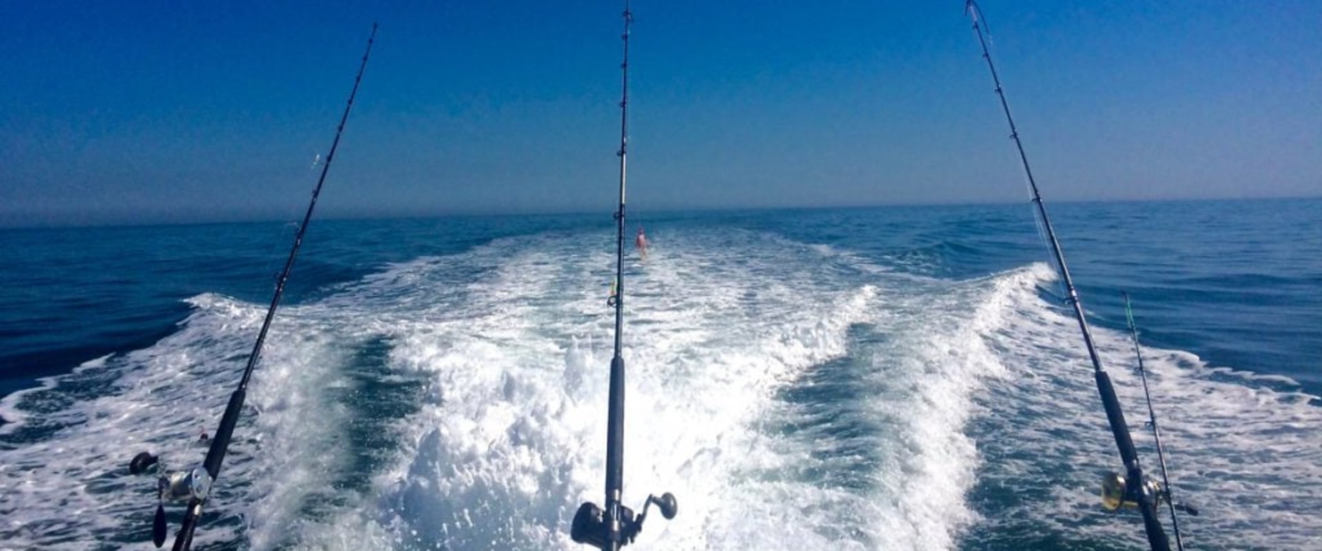 What is a split charter fishing trip?