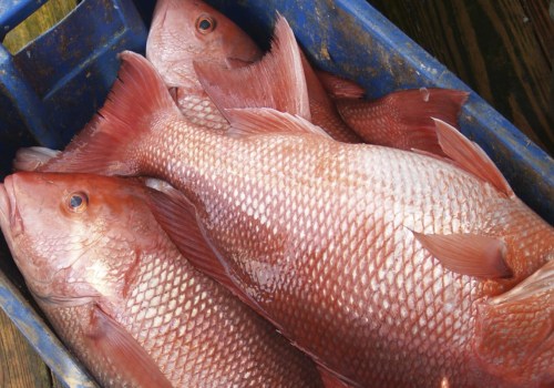 What do i need to fish in florida?