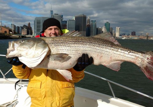 New City, New Waters: Charter Fishing After Relocating
