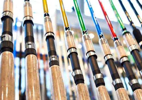 What kind of fishing pole do i need in florida?