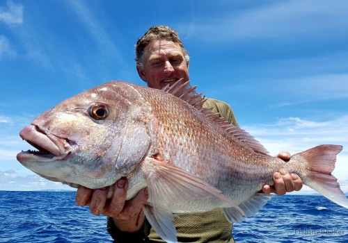 Hooked on Fun: What to Expect from Your First Charter Fishing Trip